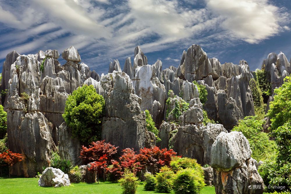 Stone Forest Scenic Area in Kunming Yunnan