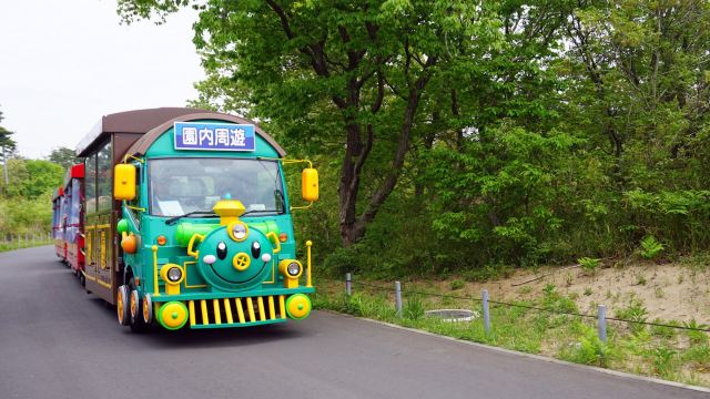國營常陸海濱公園