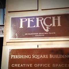 Perch User Photo