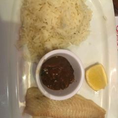 Hippopotamus User Photo