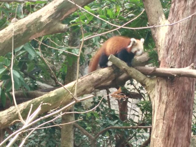 Taronga Zoo