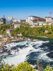 Rhine Falls