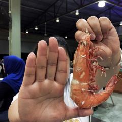 Gayang Seafood Restaurant, Sulaman Tuaran, Sabah User Photo