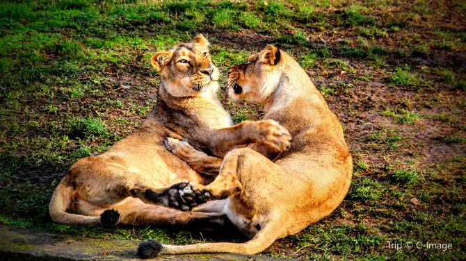 3_Prague Zoo