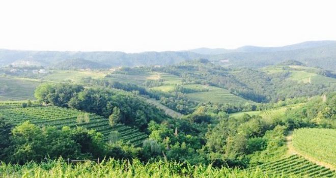 Agriturismo Fattore