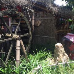 麦场农庄 User Photo