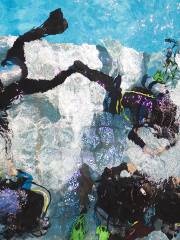 廣州天河體育中心帕迪潛水體驗