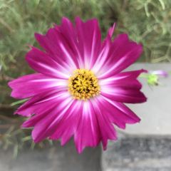 龙门山庄 User Photo