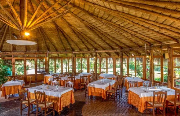 利瑪竇4號農家樂