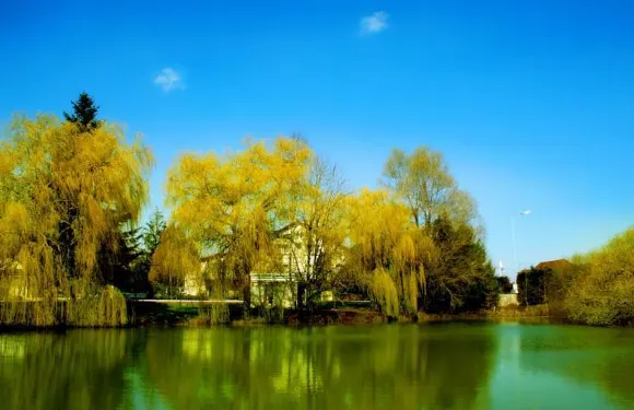 布呂伊埃雷汽車旅館