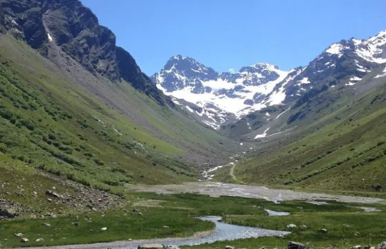 沃爾夫斯公寓式酒店 + 更多