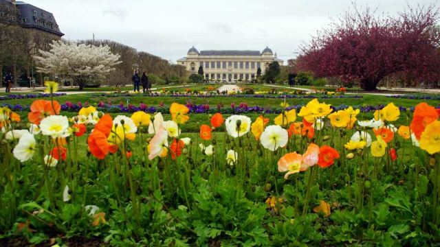 Jardin des serres d'Auteuil