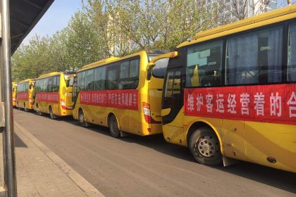 思味特蛋糕(旗舰店)