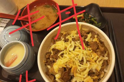 Shiqijia (zhongnanbaihuo)