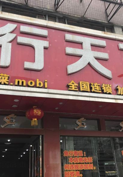 Rabbit Walk The World HONG HE XIAN GUO TU