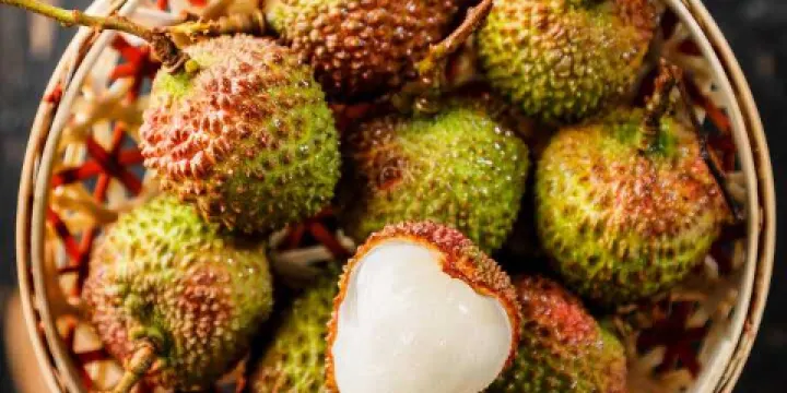 肯德基(世紀路店)