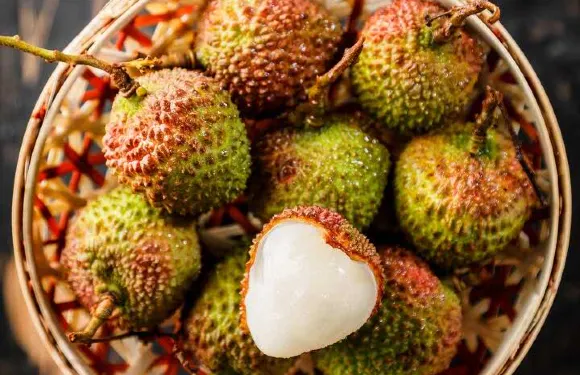 肯德基(世紀路店)