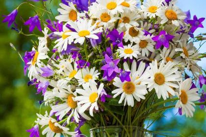 鲁道夫汉堡炸鸡(双河路店)