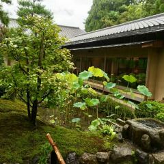 Nanzenji Junsei User Photo