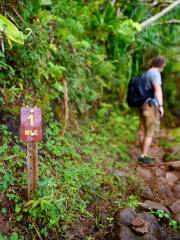 Kalalau Trail