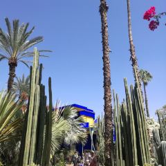 Cafe Jardin Majorelle Marrakech User Photo