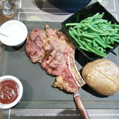 Hippopotamus User Photo