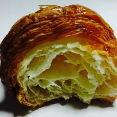PICOT 여행 사진