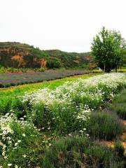 Shenhexianggu Wetland