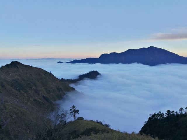 Sirentong