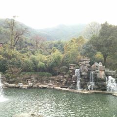 宜遇芳华·农家土菜馆(张公洞店) User Photo