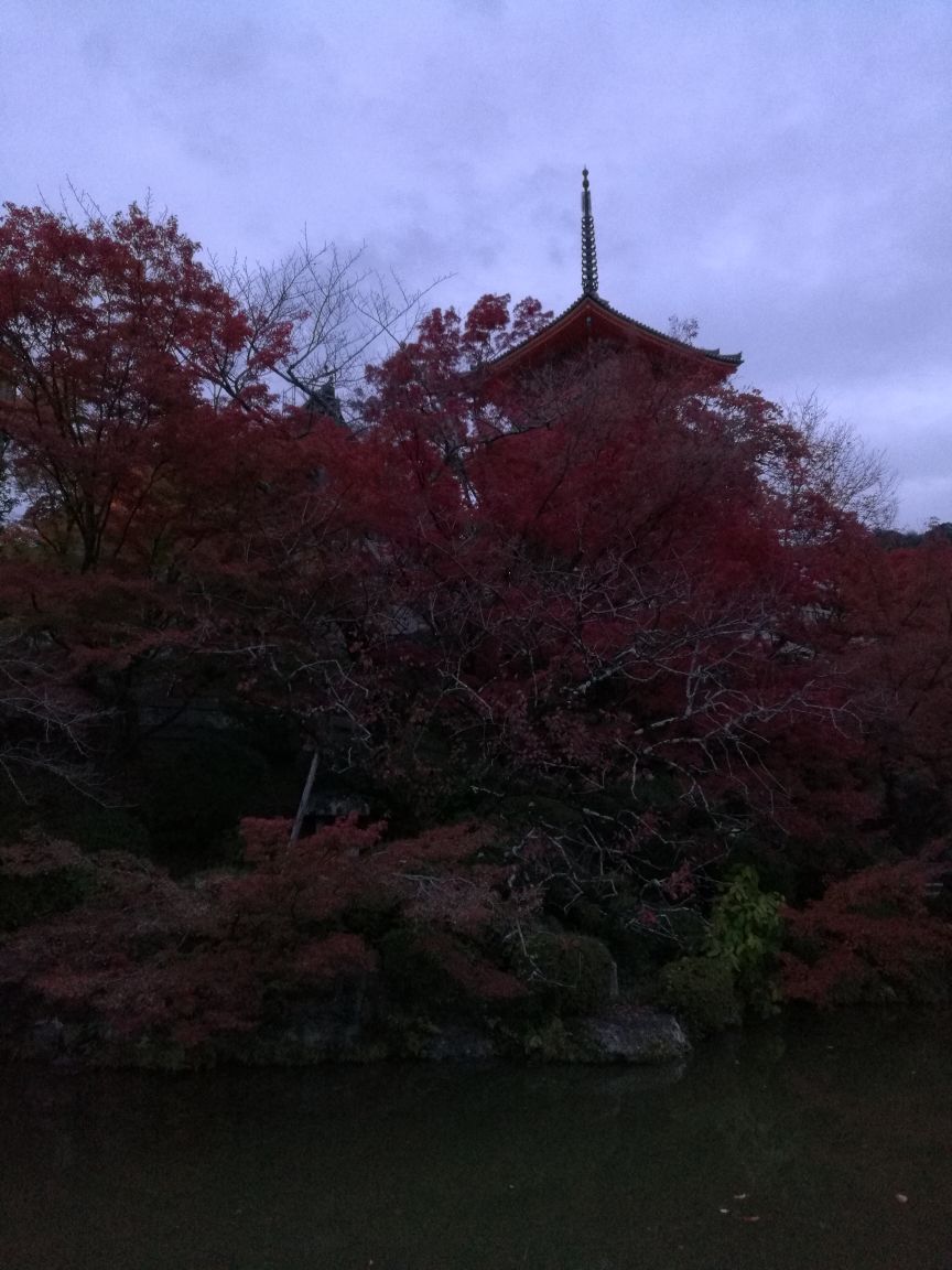 青龍寺旅遊攻略指南 青龍寺評論 青龍寺附近推薦 Trip Com