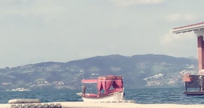 Sasa Harmanlık