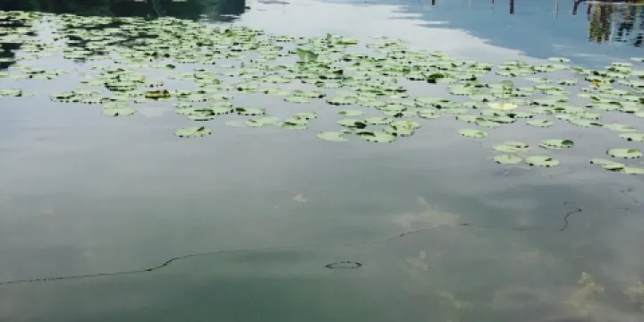 Kartepe Sukay Cafe & Restaurant