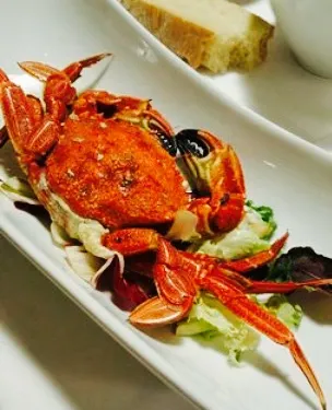 Bar Restaurante Colon