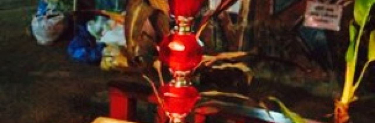 Tropical Lounge Bar & Restaurant