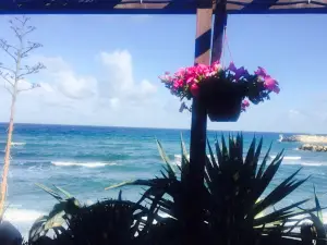 Paradissia Beach House