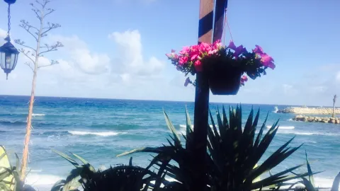 Paradissia Beach House in Karavas