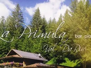 La Primula