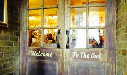 The Owl