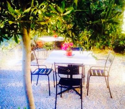 Olive Inn Restaurant