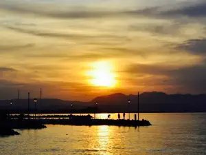 Vienna Pizza e Cucina