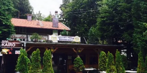 Trattoria Pizzeria Rusticale