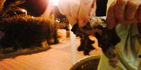 Mirablau Beach Bar & Restaurant