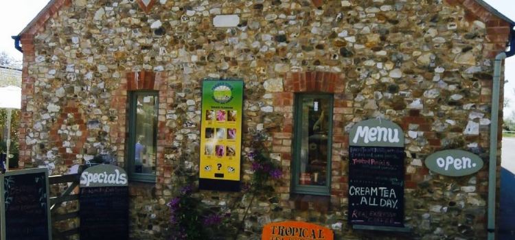 Liddons Dairy Tearoom
