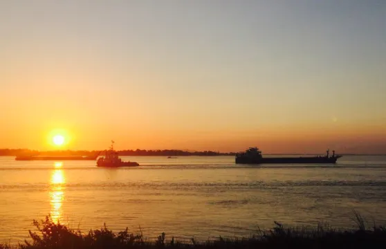 Help Grandmother and Granfather