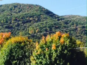 The Maggie Valley Restaurant