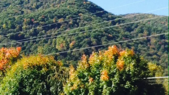 The Maggie Valley Restaurant