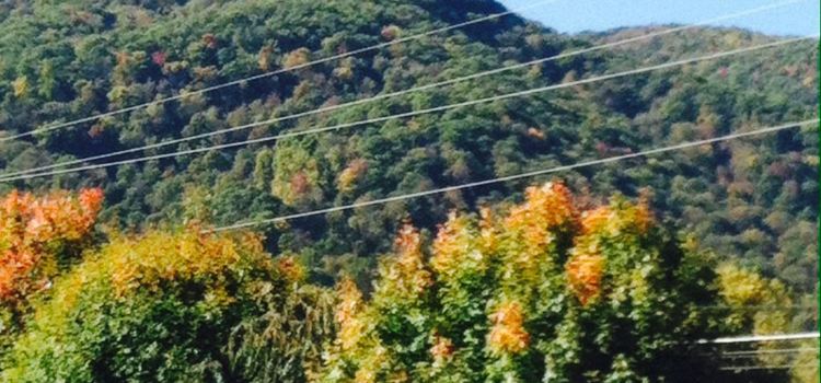 The Maggie Valley Restaurant