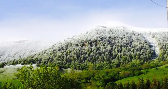 Le Relais Des Volcans