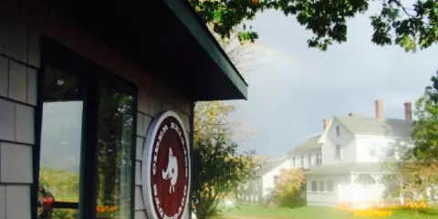 Cider Bellies Doughnuts
